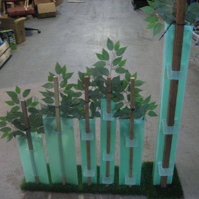 Os PP corrugaram protetores plásticos de Corflute Sustainable Tree do protetor da árvore