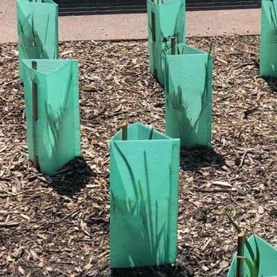 Protetor UV à prova d'água de plástico verde corflute de 3 mm para árvores