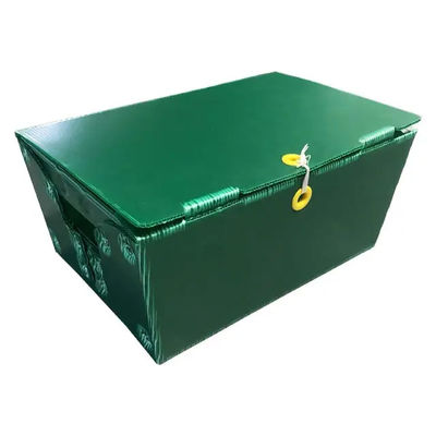 Rígido postal de Tote Corrugated Plastic Boxes Bins do correio do polipropileno personalizado com punhos