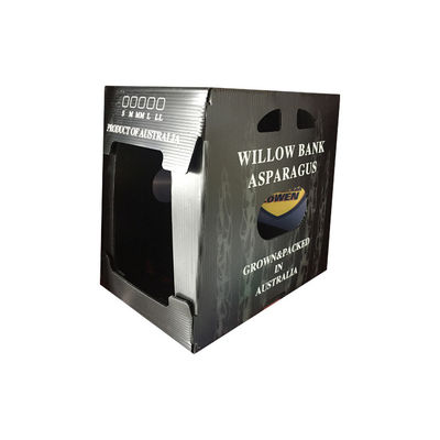 Caixa de embalagem de vegetais feita de plástico corrugado de polipropileno que oferece excelente resistência à humidade e a pragas