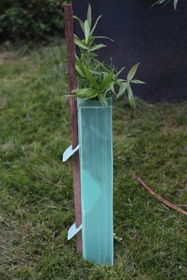Os PP corrugaram protetores plásticos de Corflute Sustainable Tree do protetor da árvore