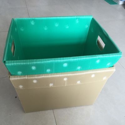 os peixes plásticos 5.5mm ondulados PP da caixa de embalagem de 4.5mm corrugaram o escaninho