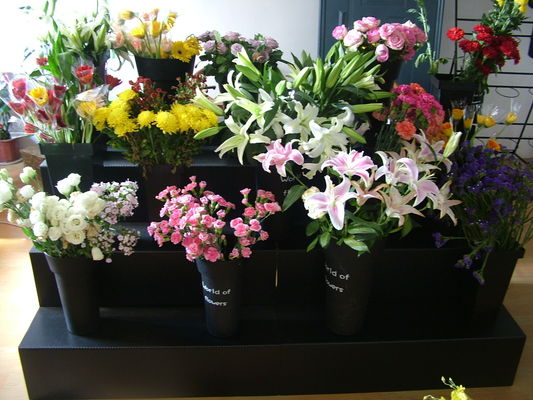 A exposição rígida da flor artificial de suporte de exposição da flor de Coroplast está impermeável