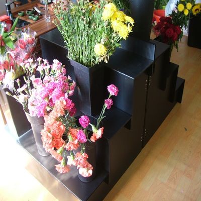 Equipamento de exposição preto do florista da etapa dos PP 4 do suporte de exposição floral de Corflute