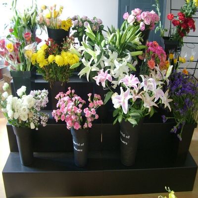 Equipamento de exposição preto do florista da etapa dos PP 4 do suporte de exposição floral de Corflute
