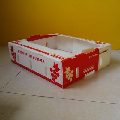 Caixas onduladas do polipropileno 5mm para o empacotamento do fruto impermeável