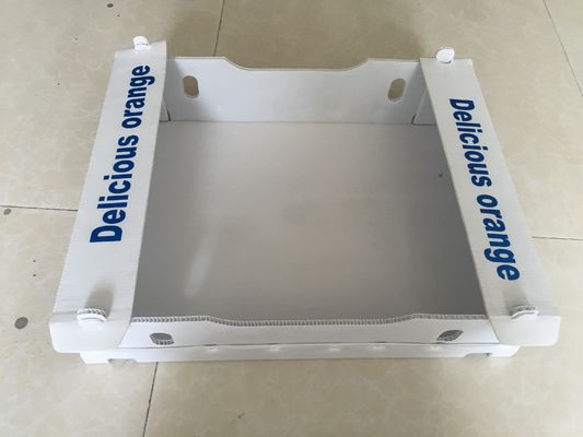 Caixas onduladas do polipropileno 5mm para o empacotamento do fruto impermeável