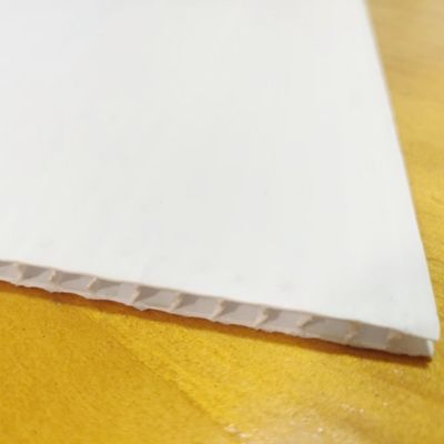 Coroplast branco reciclado cobre folhas plásticas onduladas da placa de 10mm