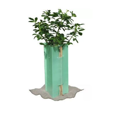 Protetores de Weatherproof Corflute Plant do protetor da árvore do quadrado 3mm Corflute