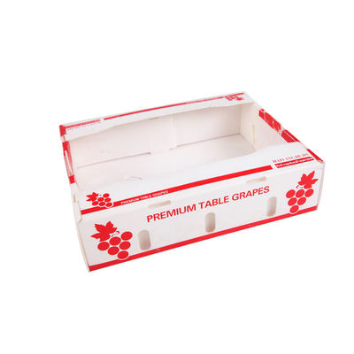 Caixas de cartão Coroplast dos produtos frescos de Corflute Kiwi Fruit Packing Box
