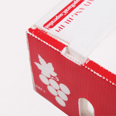 Caixas de cartão Coroplast dos produtos frescos de Corflute Kiwi Fruit Packing Box