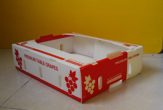 Caixas de cartão Coroplast dos produtos frescos de Corflute Kiwi Fruit Packing Box