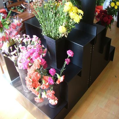 Suporte de exposição da flor fresca do preto 5mm Corflute para o jardim da casa