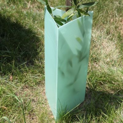 O triângulo corrugou protetores plásticos da planta dos protetores 2mm Corflute da árvore