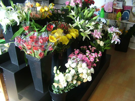 produto químico dos suportes de exposição da flor do casamento de 10mm Corflute resistente