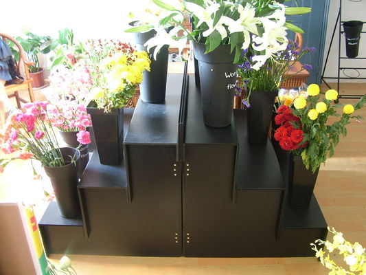 Etapa plástica ondulada de etapa 4 de suporte de exposição floral 3 para o florista