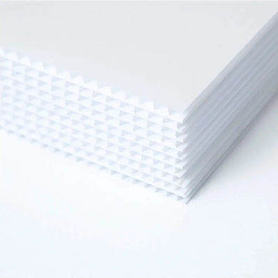 placa oca da folha 5mm Coreflute do polipropileno de 4mm Coreflute