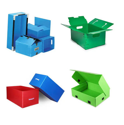 Caixas de embalagem de empacotamento do pêssego de Coroplast do verde da caixa do fruto do polipropileno