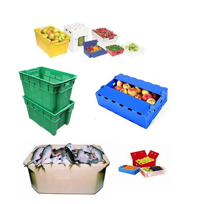 Caixas de embalagem de empacotamento do pêssego de Coroplast do verde da caixa do fruto do polipropileno