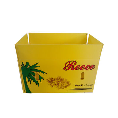Caixas plásticas onduladas 3mm reusáveis de empacotamento da caixa 4mm do fruto do aspargo
