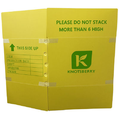 Caixa de embalagem de plástico corrugado projetada para uso público e comercial, oferecendo desempenho em sistemas de gerenciamento de resíduos