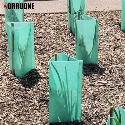 Corflute Tree Guard Eco Friendly Corrugated Plastic Sheet Providing Protection For Young Trees Against Rodents And Chemical Sprays