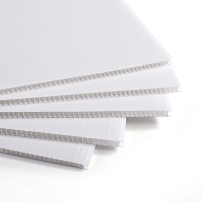 Folha corrugada de polipropileno Coroplast Lightweight Foldable personalizado