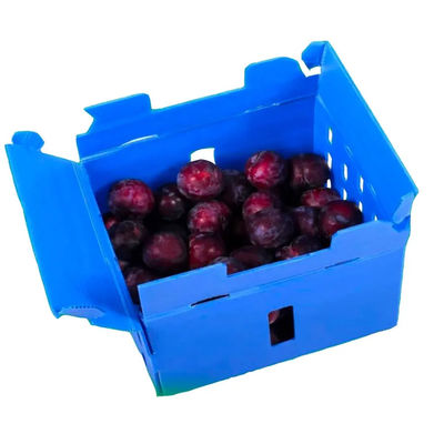 Caixa de embalagem de frutas de plástico corrugado de PP