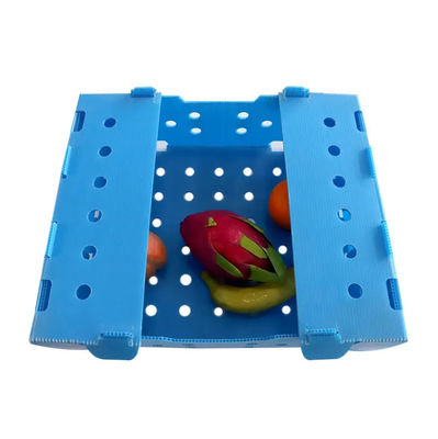 Caixa de embalagem de frutas corflute de plástico corrugado de PP personalizada reciclável