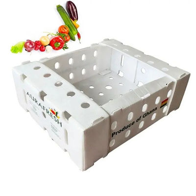 Caixa de embalagem de frutas corflute de plástico corrugado de PP personalizada reciclável