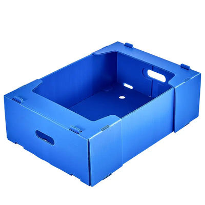 Caixa de embalagem de frutas de plástico corrugado de PP Coroplast Caixa de embalagem de frutas personalizada Reciclável dobrável