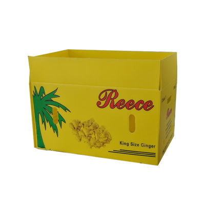 Caixa de embalagem de frutas de plástico corrugado de PP Coroplast Caixa de embalagem de frutas personalizada Reciclável dobrável