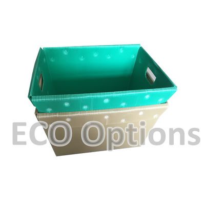 Reciclagem Caixa de plástico corrugado de PP Caixa de embalagem de coroplasto ECO dobrável personalizada