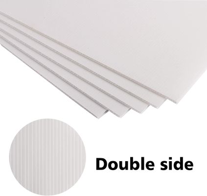 Libere o potencial da folha de coroplasto de PP nas suas embalagens e publicidade