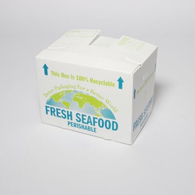 Caixa de papelão oco em PP leve e resistente a impactos, feita de material reciclável. Durável, reutilizável e ideal para soluções de embalagens ecológicas.