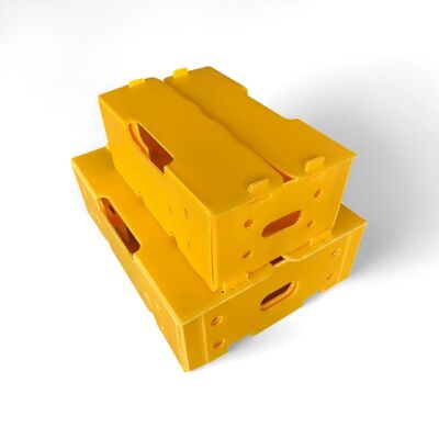 Caixa de papelão oco em PP leve e resistente a impactos, feita de material reciclável. Durável, reutilizável e ideal para soluções de embalagens ecológicas.